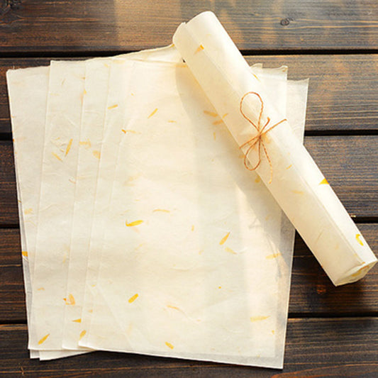 Chinese Style Elegant Calligraphy Paper Set